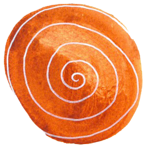 OrangeSpiral